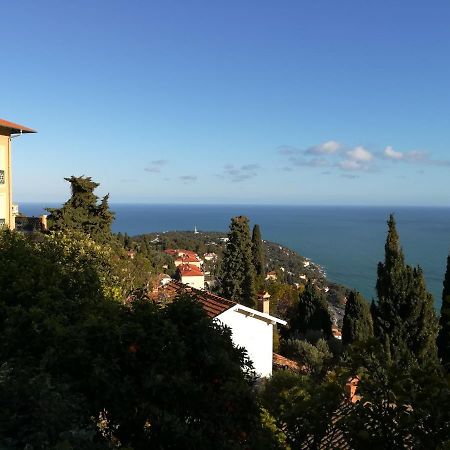 Monaco'S Cottage & Spa ロクブリュヌ＝カップ＝マルタン エクステリア 写真