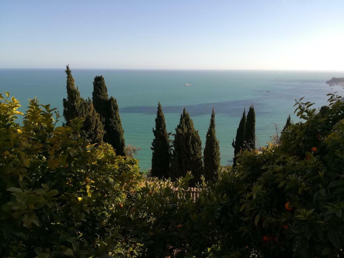 Monaco'S Cottage & Spa ロクブリュヌ＝カップ＝マルタン エクステリア 写真